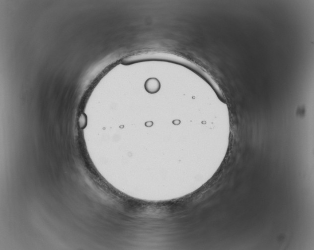 X0000115650248200912221337