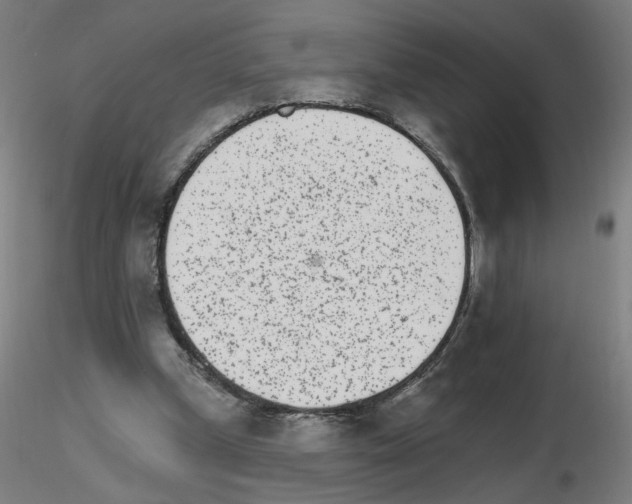 X0000115650249200912221337