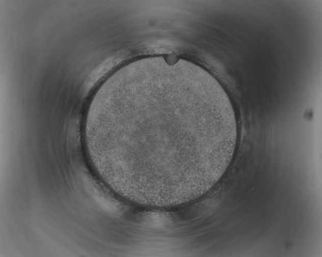 X0000115650250200912221337