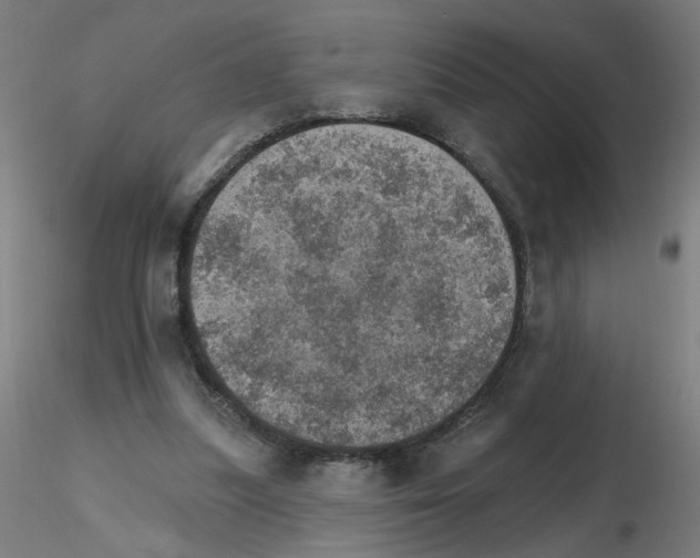 X0000115650251200912221337