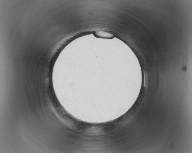 X0000115650252200912221337