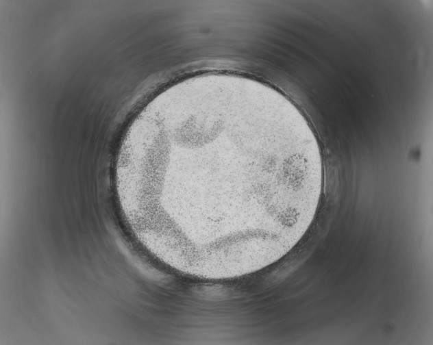 X0000115650253200912221337