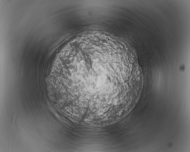X0000115650254200912221337