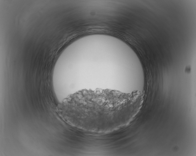 X0000115650255200912221337