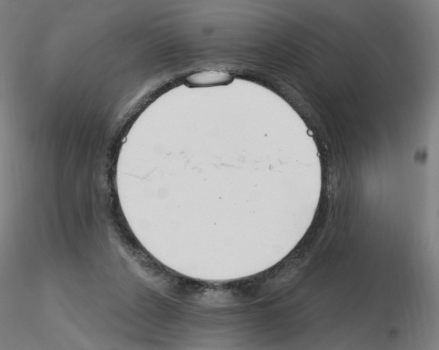 X0000115650256200912221337