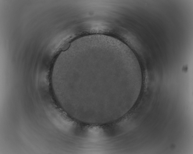 X0000115650258200912221337