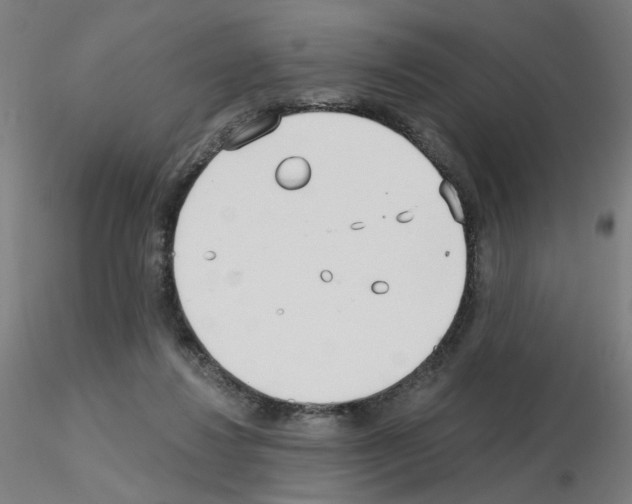 X0000115650260200912221337