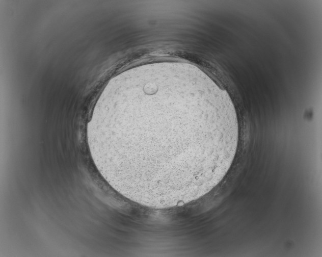X0000115650261200912221337