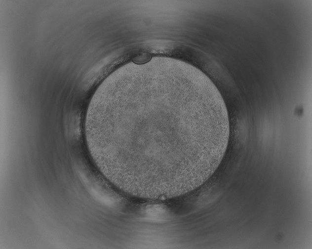 X0000115650262200912221337