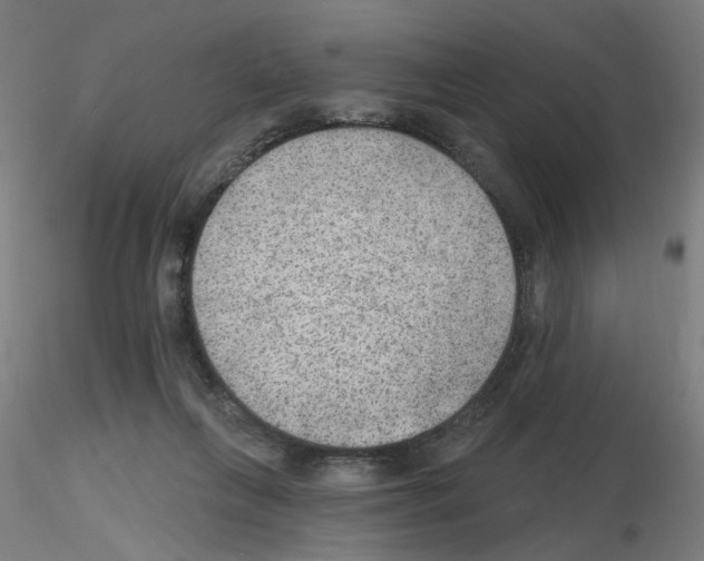 X0000115650263200912221337