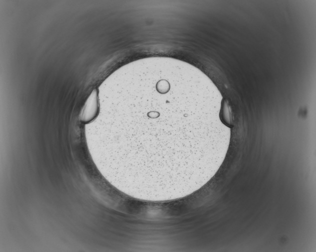 X0000115650264200912221337