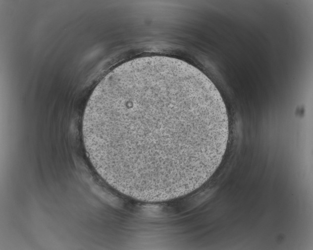 X0000115650265200912221337