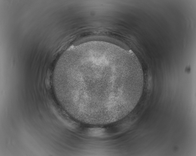 X0000115650266200912221337