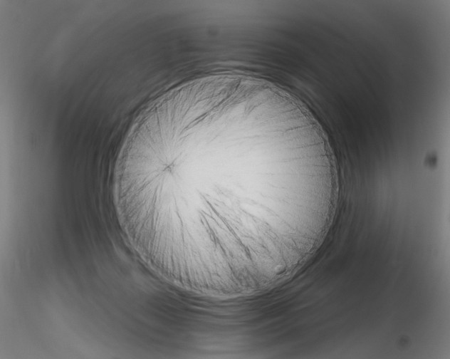X0000115650267200912221337