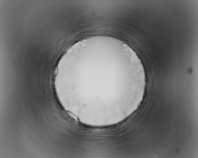 X0000115650268200912221337