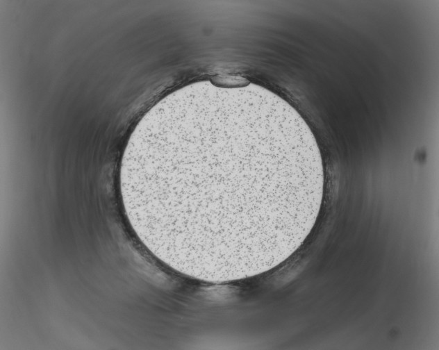 X0000115650269200912221337