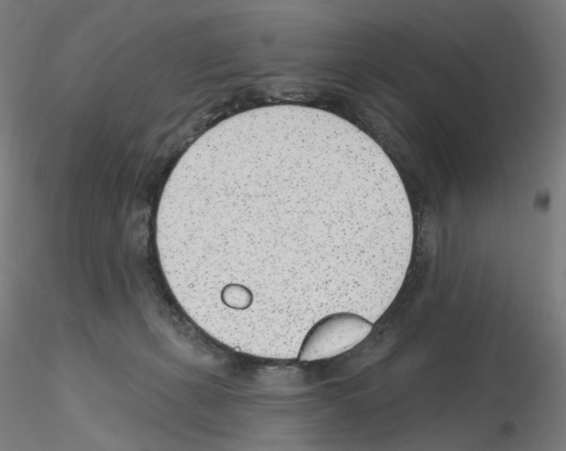 X0000115650271200912221337