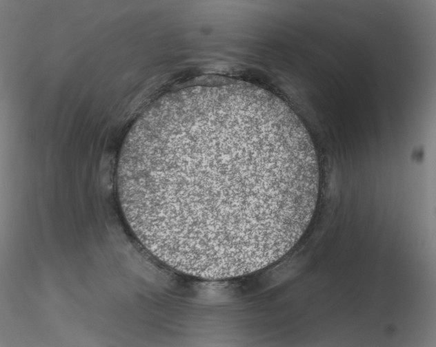 X0000115650273200912221337