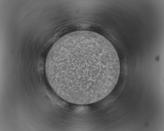 X0000115650274200912221337