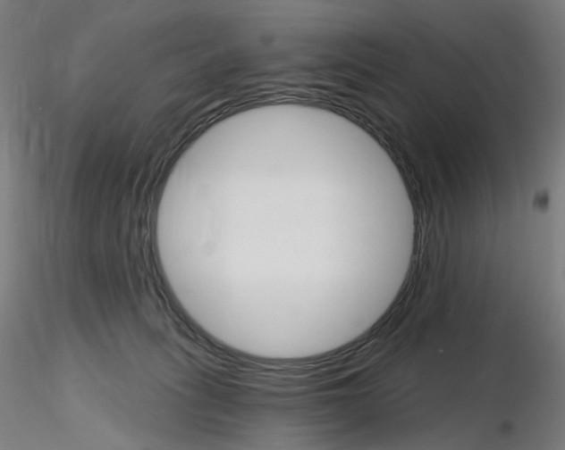 X0000115650275200912221337