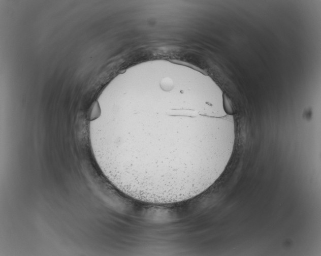 X0000115650276200912221337