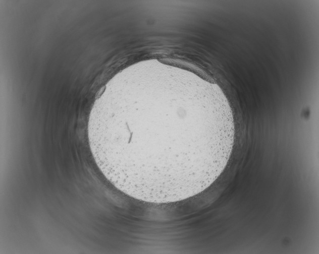 X0000115650277200912221337