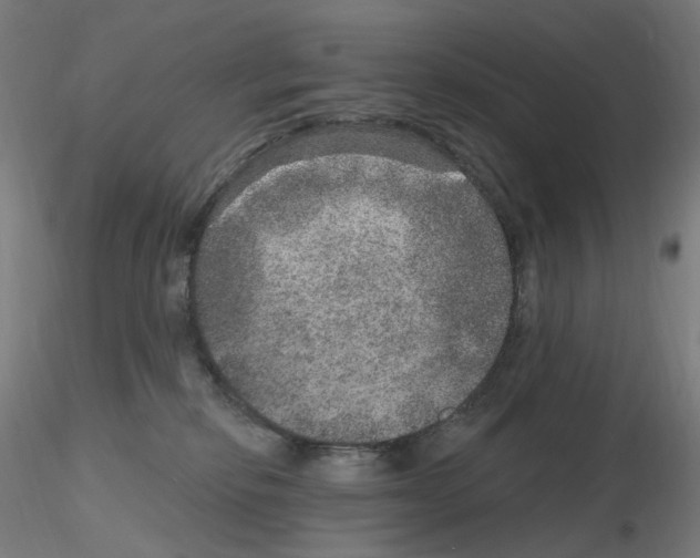 X0000115650278200912221337
