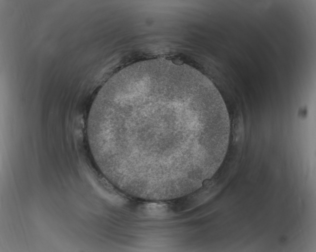 X0000115650279200912221337