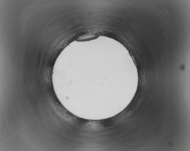 X0000115650280200912221337