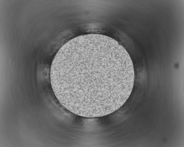 X0000115650281200912221337
