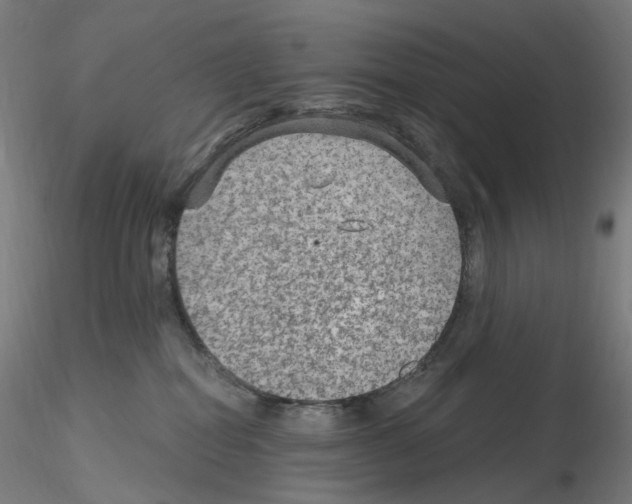X0000115650282200912221337