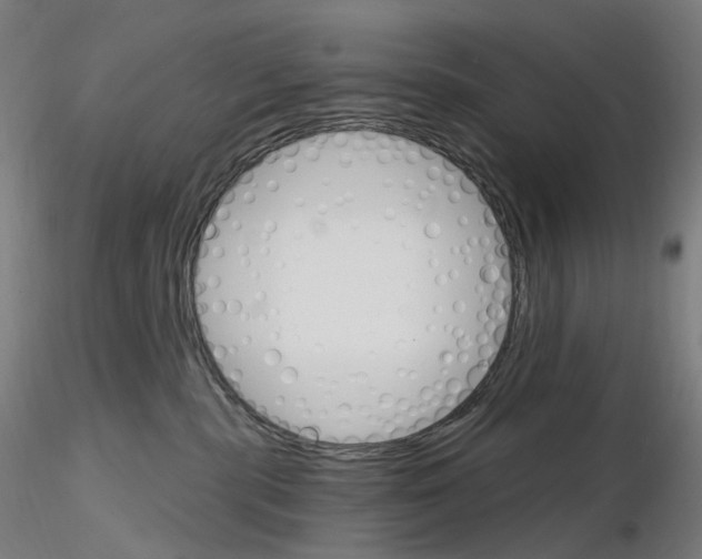 X0000115650283200912221337