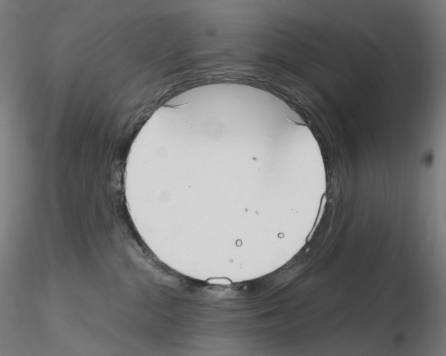 X0000115650284200912221337