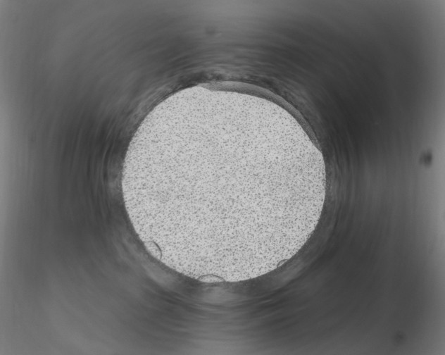 X0000115650285200912221337