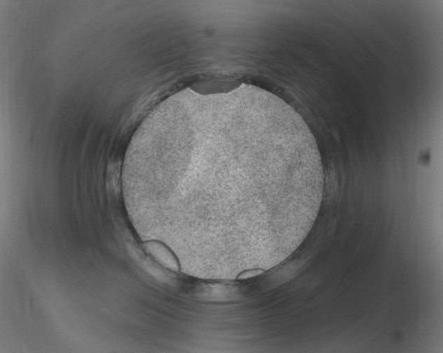 X0000115650286200912221337