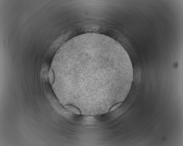 X0000115650287200912221337