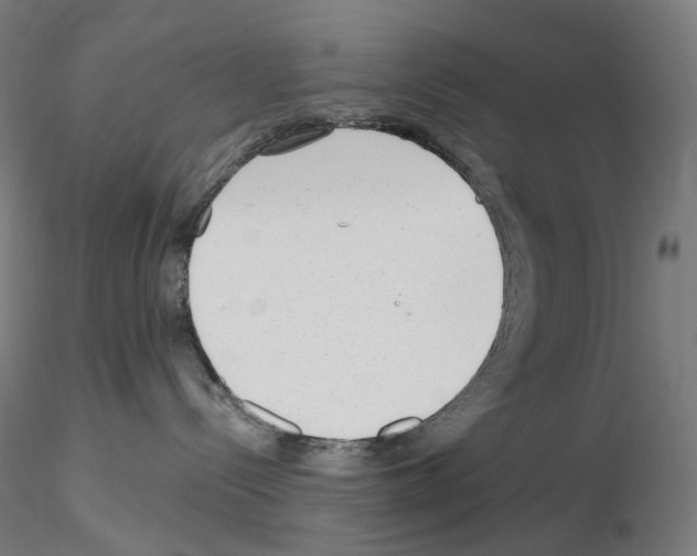 X0000115650288200912221337