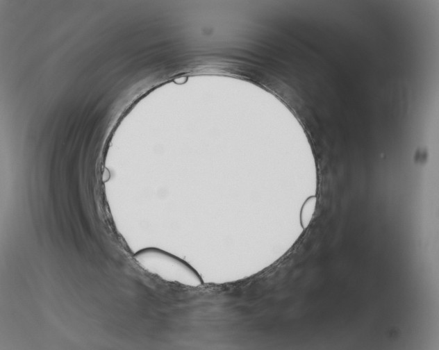 X0000115650289200912221337