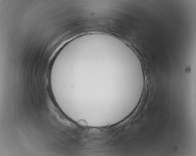 X0000115650290200912221337