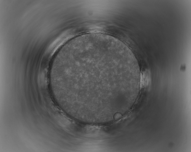 X0000115650291200912221337