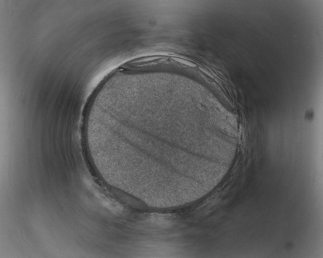 X0000115650292200912221337