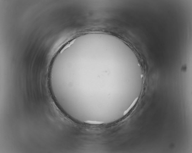 X0000115650293200912221337