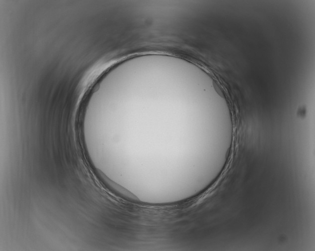 X0000115650294200912221337