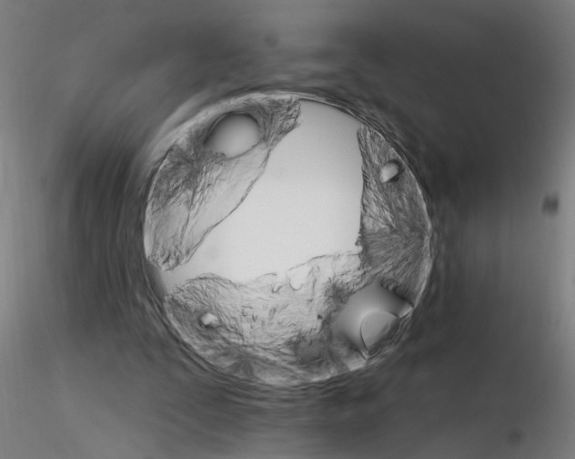 X0000115650295200912221337