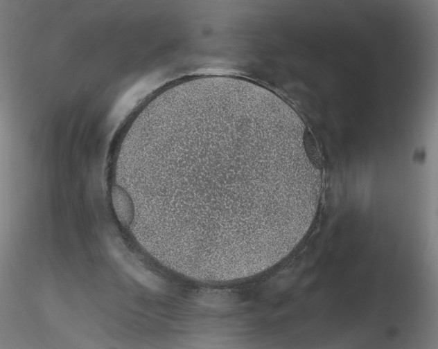 X0000115650296200912221337
