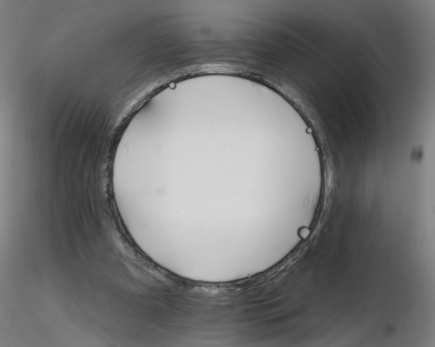 X0000115650297200912221337