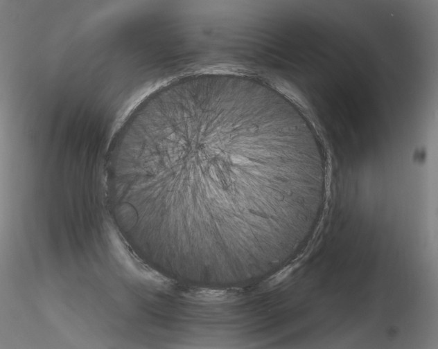 X0000115650298200912221337