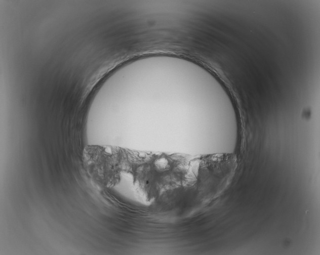 X0000115650299200912221337