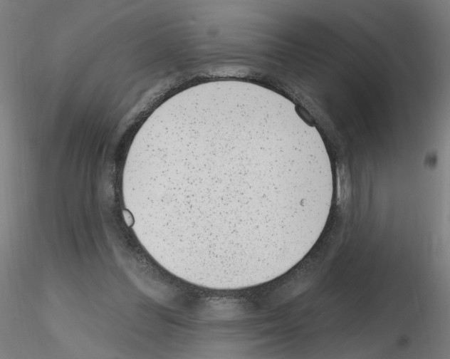 X0000115650300200912221337