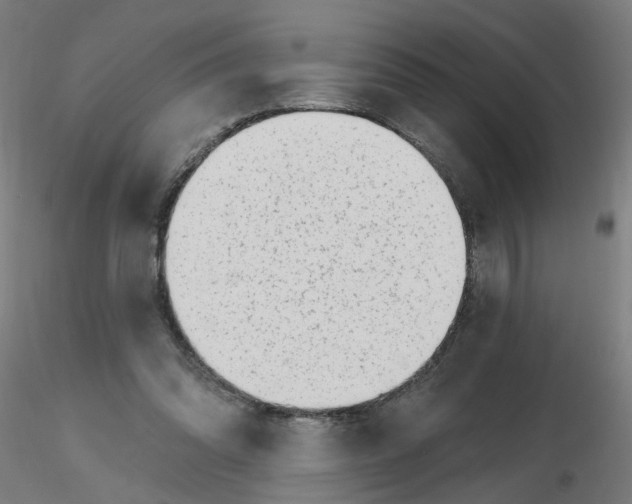 X0000115650302200912221337